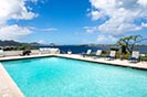 Libellule St. Martin