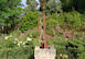 Villa Edera Pistoia Tuscany Italy