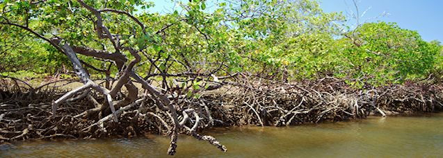 Amazon Vacation Rentals Brazil, Amazon Lettings, Accommodations Amazon